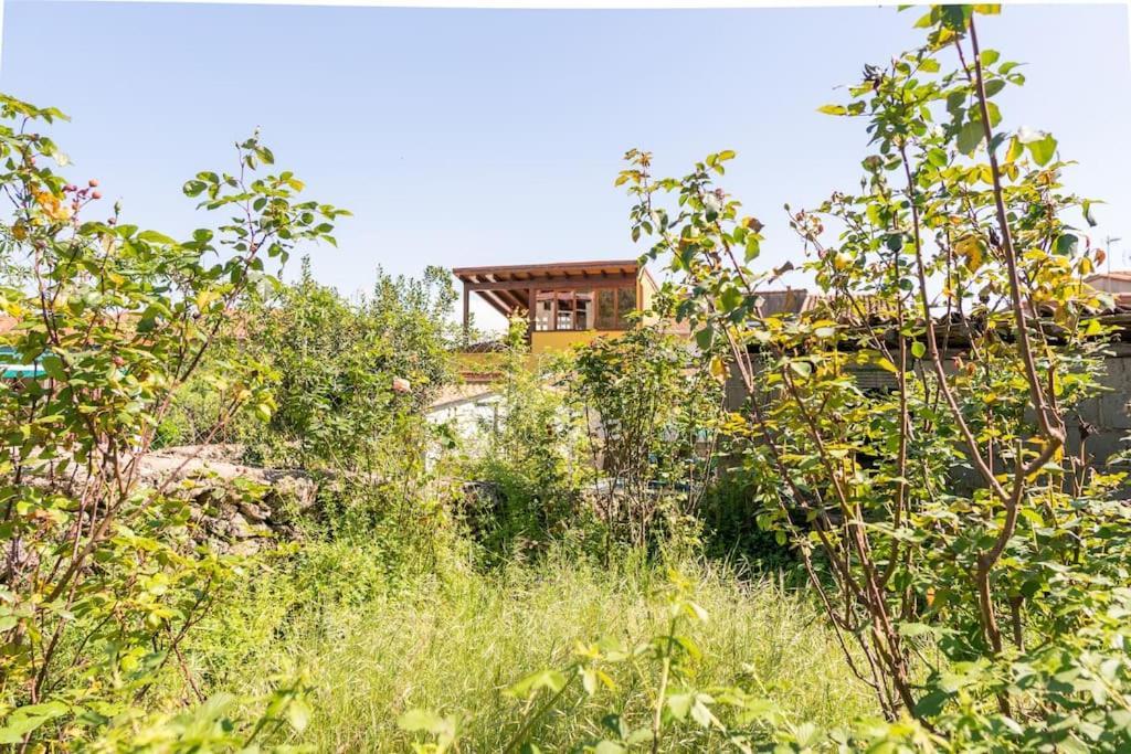 Casa La Vera Rural Talaveruela Dış mekan fotoğraf
